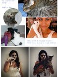La fête des chats de blogueuses #2011