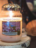 La bougie « Sakura Blossom Festival » de Yankee Candle