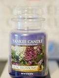 Light My Fire : Lilac Blossom de Yankee Candle
