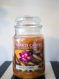 Light my Fire : Oud Oasis de Yankee Candle