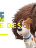 #Concours- 5 copies du film d'animation Comme Des Bêtes