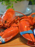Le meilleur homard que j'ai mangé? Celui de la Gaspésie