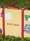 Les Baumes Burt’s Bees