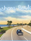 Bayshore Boulevard